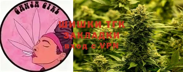 прущие крисы Инсар