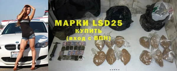 ПСИЛОЦИБИНОВЫЕ ГРИБЫ Иннополис