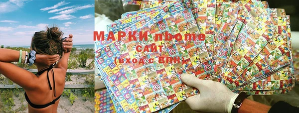 ПСИЛОЦИБИНОВЫЕ ГРИБЫ Иннополис
